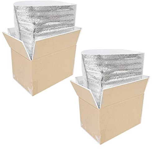 STRBOXONG Thermo Chill Double Insulated Carton with Foil Insulated Bag Liner, Cold Shipping Box for Frozen Food, Cooler Moving Box for Posting, Small Parcel Postage Postal Mailing 250x155x140mm