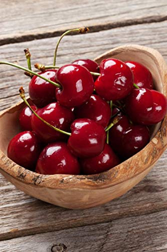 Albero di Ciliegio pianta di ciliegia in vaso varietà Marasca Età 2 anni pianta vera di ciliegio venduta da eGarden.store