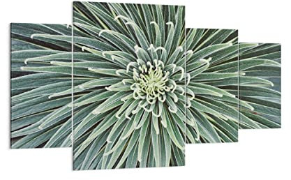 Mehrteilige Bilder auf Leinwand 160x90cm Leinwandbild Agave Grün Pflanze Groß XXL Wanddeko Bild Schlafzimmer Set 4 teilige Wandbilder Dekoration Wohnzimmer Canvas Wand Kunstdruck Art DL160x90-4905