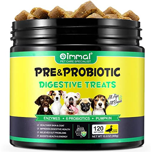 Probiotiques pour Chiens, probiotiques pour Chiens, enzymes digestives, santé intestinale, démangeaisons cutanées, Allergies, système immunitaire et Soutien à la santé Globale, 120 à mâcher