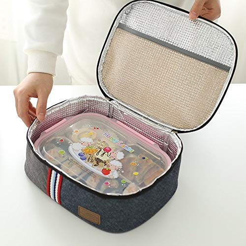 DUMRALBQE Set di Borse per Il Pranzo Borsa for Il Pranzo al Sacco con Contenitore for Alimenti freschi for la Colazione per Donne, Uomini e Bambini