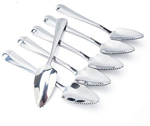 Choary Lot de 6 cuillères à pamplemousse en acier inoxydable 15,5 cm