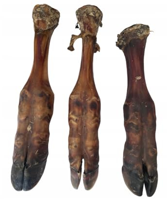 Lucze, Kalbsbein für Hunde 25–30 cm, Natürlicher Kauknochen für große & mittelgroße Hunde, Kaustange, Kauartikel, Einzeln verpackt, 1 Stück