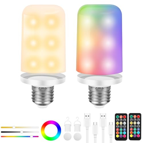 Birnetek USB-C Rechargeable Bulb, E27 LED Bulb Adjustable with Remote Control, Detachable Smart Bulb with Timer, Emergency Light with Magnet, Portable Wireless Bulb, 2pcs