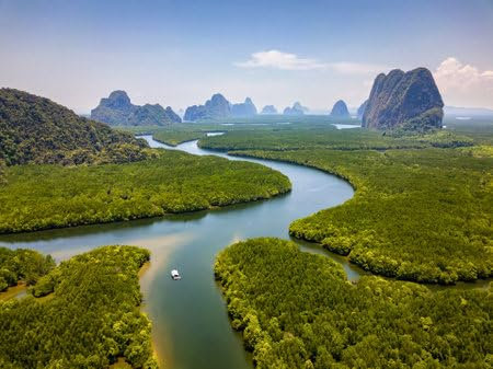 adrium Acryl-Bild 70 x 50 cm: Luftaufnahme eines riesigen Mangrovenwaldes und hoch aufragender Kalksteinfelsen (Phangnga Bay, Thailand) (207257182)