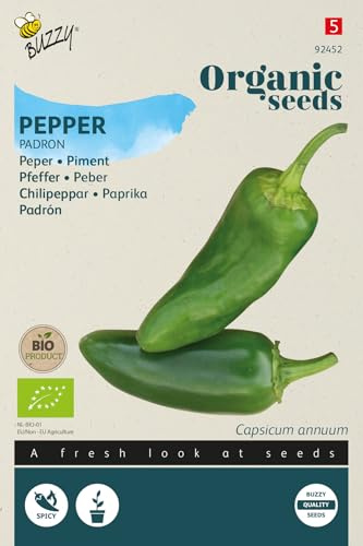 Buzzy Seeds 92452 Poivre Padron (graines de piment BIO)