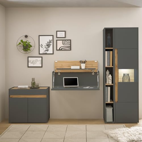 Lomadox Büromöbel Set anthrazit mit Eiche 4-teilig modern, 1 Kommode, 1 Sekretär, 1 Regal, 1 Vitrine mit Beleuchtung