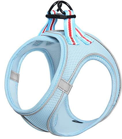 HEELE Hundsele för Hundar Liten Mjuk Mesh Sele för Små hundar, Blå, M | Anti Pull Sele Mesh Reflekterande Andningsbar Säker Kontroll Valp Sele Väst Hundbröstsele för Promenader, Löpning, Träning