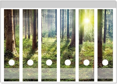 Wallario Ordnerrücken Sticker Sonnenuntergang im Wald zwischen den Bäumen - Größe 6 Stück, Rückenschilder für 6 breite Ordner, Klebeetiketten