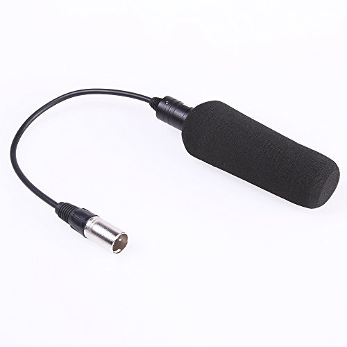 FocusFoto - Microfono professionale per videocamere DSLR con cavo XLR e parabrezza