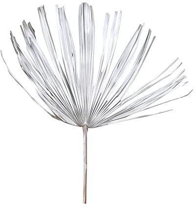 DUO ER Chinesischer Lüfter Große getrocknete Blume Palm Blätter Lüfter Trockenpflanze Palmett Fan Kunst Wanddekoration Shopwindow Home Hochzeitsfest Dekoration (Farbe : B)