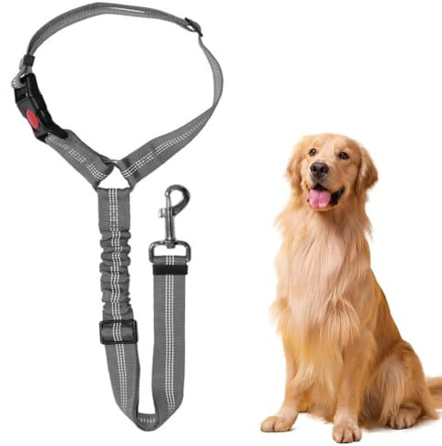 FENQURO cintura sicurezza cani auto, Cintura Sicurezza Cani Auto Regolabile Guinzaglio per Cani Auto con Assorbimento degli Urti Elastico, Prevenire interferenze con la guida, per Auto Sicurezza