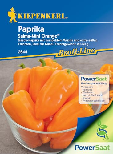 Kiepenkerl Profi-Line Paprikasamen Salma-Mini Orange PowerSaat - Süße Snack Paprika Samen - 60-80 cm Pflanzenhöhe - Paprika Samen für Freiland, Gewächshaus und Kübel - Ideal für Naschen und Dekoration