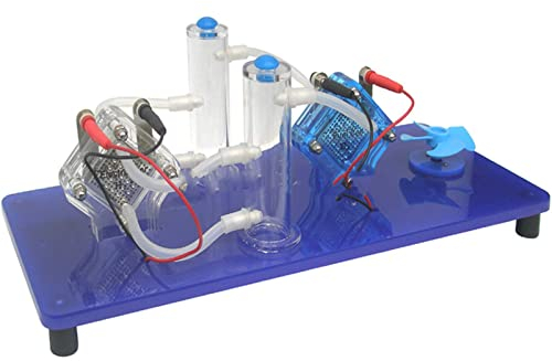 Modèle D'Expérience Chimique De Démonstration De Pile À Combustible À Hydrogène - Eau Électrolytique Pour Produire De L'Oxygène, Des Équipements Scientifiques Et Éducatifs Pour Dispositifs À Hydrogèn