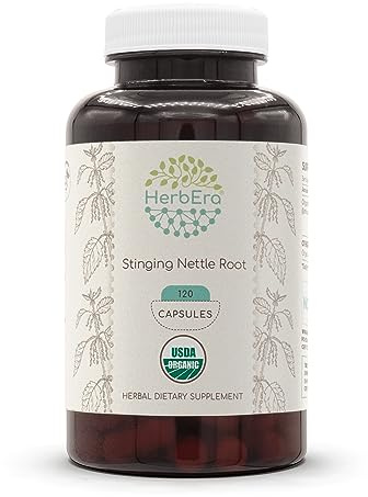 HerbEra Stinging Nettle Root 120 Capsules, 500 mg, USDA Organic Stinging Nettle (Urtica Dioica) Dried Root (120 Capsules)