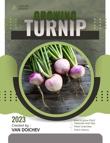 Turnip: Guide and overview