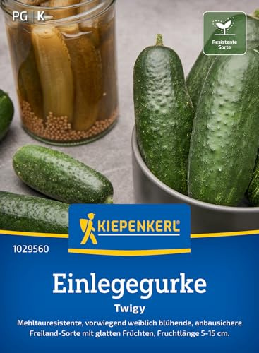 Kiepenkerl Einlegegurkensamen Twigy 1029560, Gemüsesaat | Glatte Früchte für eingelegte Gurken, für Beet und Spalieranbau, Wuchshöhe bis zu 120 cm