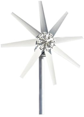 QZCX Aerogenerador Eolico, Turbina aeroneradora de 5000w, 24V, 12V, dínamo magnético, energía Libre, Salida de inversor de CA de Gran Potencia for el hogar(48V)