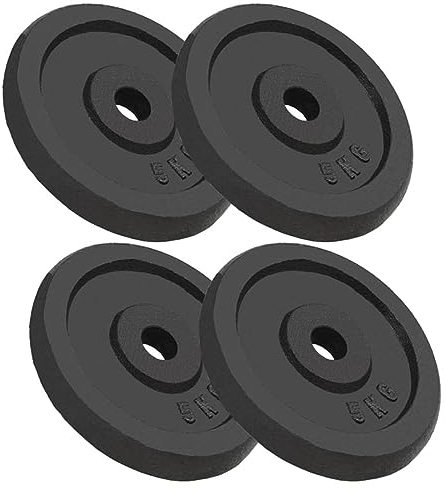LAPOOH Hantelscheiben 4 STK. 4x5 kg Gusseisen, Gewichte Hantel, Gewichtsscheiben, Trainingsgewichte, Hantelgewichte, Fitness Gewichte