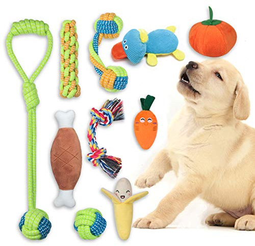 FONPOO Welpenspielzeug eine Kombination aus Fruchtigem Gemüse und Hundeseilspielzeug 10-Teiliges Set Plüsch-Hunde Pielzeug das als Hundegeschenk Verwendet Werden Kann (Obst und Gemüse, 10er-Set)