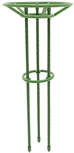 TOYANDONA Jaula de Soporte para Plantas Resistentes al Desgaste para Plantas Trepadoras para Jardín o Interior Soporte para Altas