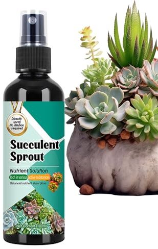 Yulokdwi Cibo Liquido Per Piante Grasse - Stimolante Per Germogli Di Succulente - Spray 100ml A Rilascio Lento Per Crescita Propagazione Piante D'Appartamento Giardinaggio Indoor