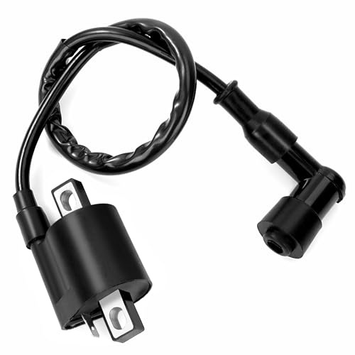 Bobina Accensione del Motore Ignition Coil Sostituzione Bobina Accensione Moto 2 pin 110cc 125cc per Quad Pocket Dirt Bike ATV Go kart Scooter Minimoto