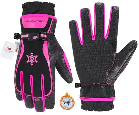 HANDLANDY Winter Work Gloves for Women, 3M Thinsulate Insulated, Waterproof Thermal Touchscreen Warm Grip Gloves for Cold Weather, Skiing, Snowboarding, Hiking (Black Pink, M)