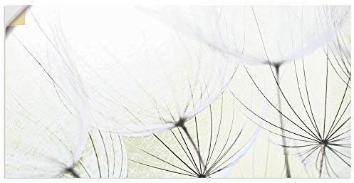 ARTland Wanddeko Wandtattoo selbstklebende Vinylfolie 60x30 cm Botanik Blumen Blüten Pusteblume Frühling Landhaus S9MV