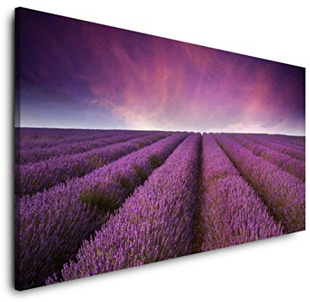 Lavendel Felder 120x 60cm Panorama Leinwand Bild XXL Format Wandbilder Wohnzimmer Wohnung Deko Kunstdrucke