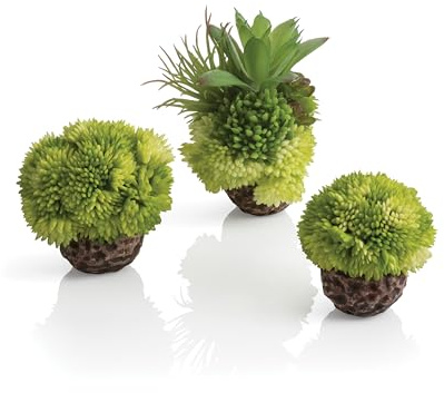 biOrb 72683 Korallenball Set grün, 8 x 8 x 9 cm - Aquarien-Dekoration, Deko-Element für Aquarium, naturnahe Aquarienpflanze