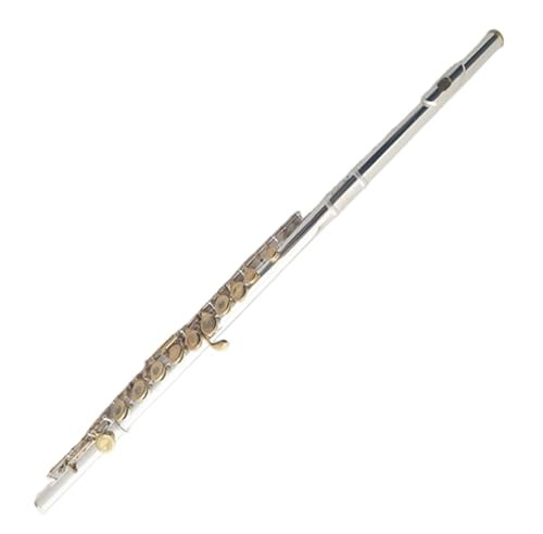Querflöte Instrument Versilberte Gold-Tonart C-gestimmtes Geschlossenes/offenes Loch Anfänger-Flöten-Testinstrument Für Bandleistungen Für Erwachsene