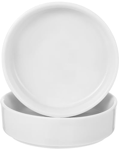 FONDOTIN Sottovaso in Ceramica per Piante 2 Pezzi, Vassoio Rotondo Smaltato Raccolta Acqua, Accessori per Fioriere Interni ed Esterni, Piattini Drenanti per Vaso da Giardino e Casa