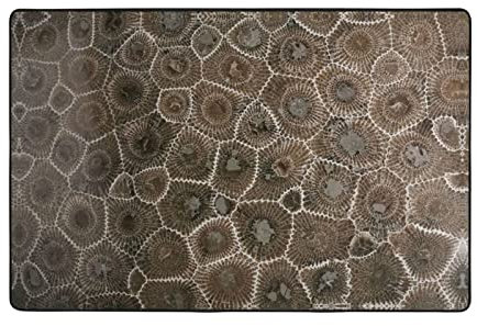 BUULOO Petoskey Rutschfester dekorativer Steinteppich, Bodenmatte, 60 x 91 cm oder 120 x 182 cm, saugfähig, für den Außenbereich, mehrfarbiges Muster, für Badezimmer, Küche, Schlafzimmer