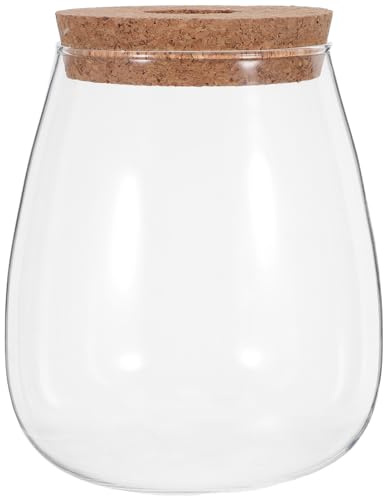 NUOBESTY Jarrones de Propagación de Vidrio para Orquídeas y Esquejes con Tapa de Corcho y Base de Bambú, Terrarios Hidropónicos para Decoración del Hogar y Ocasiones Obsequios