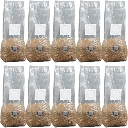 ZayCraye Set mit 10 Myzel-Wachstumsbeuteln, Mushroom Spawn Grow Bag mit Filter, Pilzzucht Beutel, für Pilzsubstrat, Myzel & Spawn, für Gourmet- und Heilpilze (25 * 50cm)