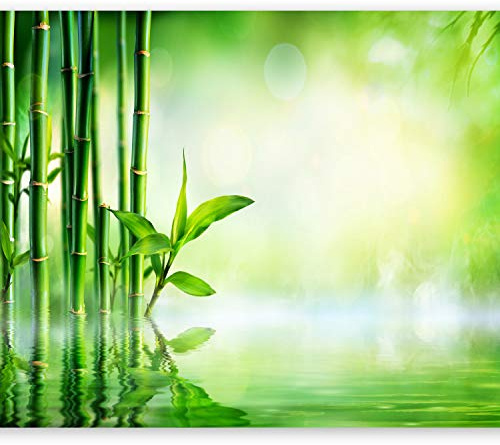 murando 250x175 cm Papel pintado tejido no tejido Decoración de Pared decorativos Murales moderna Diseno Fotográfico Bambu Naturaleza verde b-B-0164-a-a