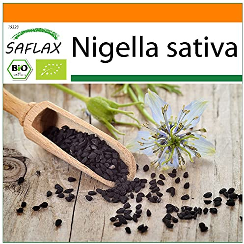 SAFLAX - Garden in the Bag - Ekologiskt - Svart Kummin - 300 Frön - Med underlag i en passande resväska - Nigella sativa
