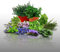 Lot 900 Graines Aromatiques à semer - Le Grenier d'Abondance - LES OFFICINALES - 10 sachets individuels