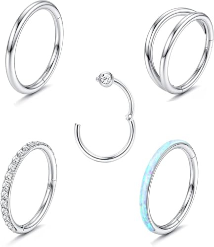 Diamday 5Pcs Surgical Steel Nose Rings Hoop for Women CZ Septum Hinged Clicker Segment Lip Rings Helix Cartilage Hoop Earring Rook Daith Seamless Body Piercing Rings for Women Men 16g 10mm