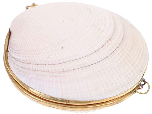 Homoyoyo Muschelbox Muschel-schmuckbeutel 7–8 Cm Aufbewahrungskoffer Aus Natürlichen Muscheln Ohrringbehälter Kleinigkeiten Organizer Halskettenbox Schmuckaufbewahrungsbox