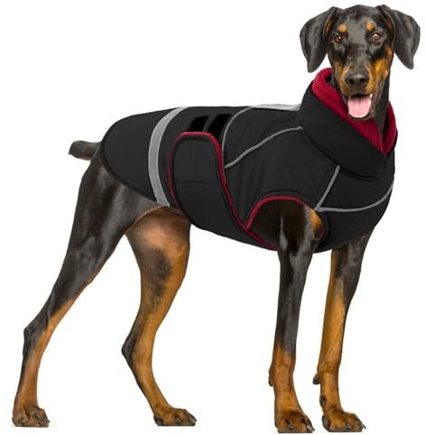 CITÉTOILE Hundejacke mit Klettverschluss – Reflektierend, Führungsöse & wärmender Kragen – Leichtes Wintercoat mit weicher Füllung, Schwarz, L
