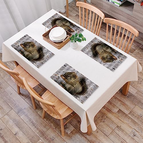 Platzset, Satz von 4 Platzsets,Tiere Schöne Eichhörnchen Essen Tannenzapfen,Gewebte Vinyl-Tischsets, waschbare und langlebige Tischsets, Tischsets für den Innen- und Außenbereich