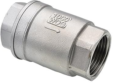 ZBORAVPIX Clapet Anti-Retour unidirectionnel Horizontal à FI Clapet Anti-Retour Vertical à Ressort en Ligne en Acier Inoxydable 304 DN15-DN100 (1/2-2)(DN65)