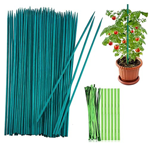 50 Stück Pflanzenstäbe, 30cm Pflanzenstützen, Grüne BlumenstäBchen Tomatenstäbe Bambusstäbe mit 50 Stück Metallischen Bindebändern, für Haus Garten Kletterpflanze Erweiterung der Pflanzenstütze