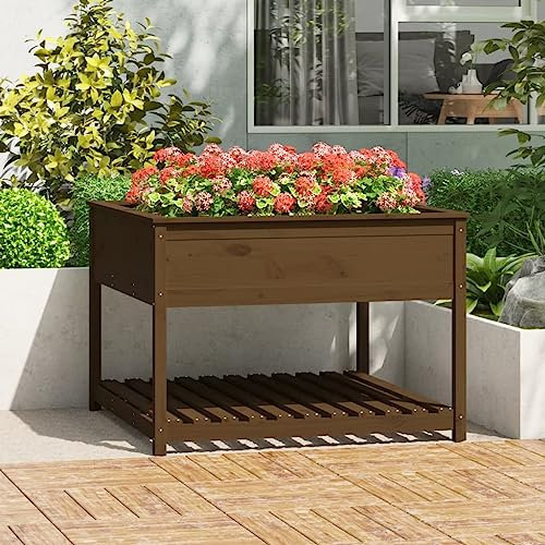 Higsose Jardinière et Etagère Marron Miel 111,5x111,5x81 cm Bois de Pin Jardiniere Rectangulaire Jardinère en Bois Jardiniere Balcon Jardiniere Bois Jardiniere Treillis Jardiniere Exterieur