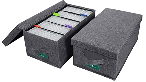 T WaveTree DVD-Aufbewahrungsbox, 2 Stück, langlebige Filmorganizer, 39 x 21 x 16 cm, DVD-Rack mit Deckel und Index-Etiketten für bis zu 50 DVD-Hüllen, Grau