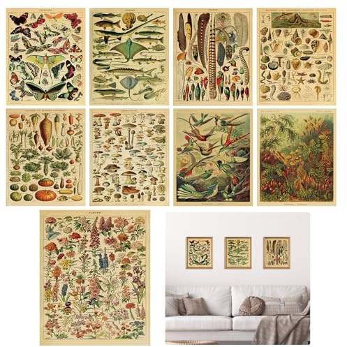 TNSLAND Lot de 9 affiches vintage botaniques Papillon Poster Diagramme de fleurs Affiche Ensemble éducatif d'identification Décor mural pour salon chambre à coucher Non encadré 20 x 25 cm