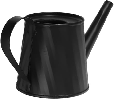 Abaodam Annaffiatoio Mini in Ferro Zincato per Piante Succulente e Interno con Beccuccio e Manico Comodo, Portatile per Scrivanie e Decorazione Casa