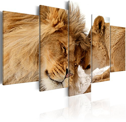 B&D XXL - Wandbilder XXL Löwe 200x100cm 5 tlg - Wand Deko Leinwand Bilder Groß Wanddeko Wohnzimmer Schlafzimmer Kunstdrucke - Löwe Tiere Afrika Liebe g-B-0034-b-m